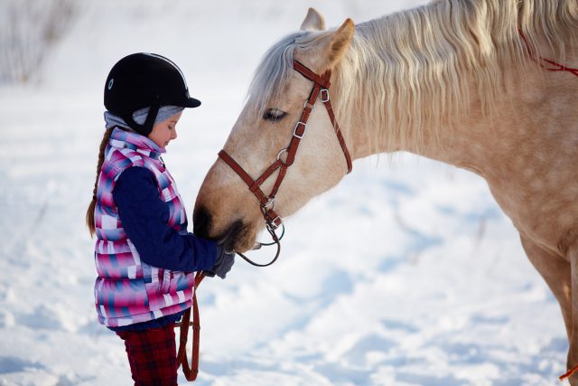 Équitation et prévention des blessures: 7 astuces pour les enfants et les débutants