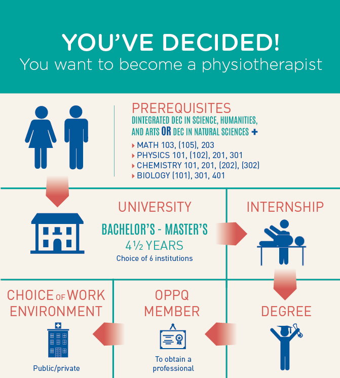 Infographie | Parcours d'études pht EN